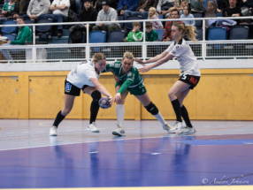 R6__7390-Förbättrat-BR